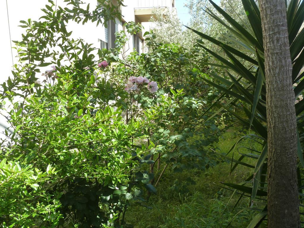 Apartment Marina Zadar Extérieur photo